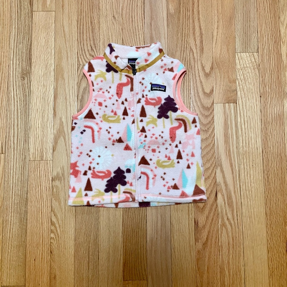 Patagonia Synchilla vest